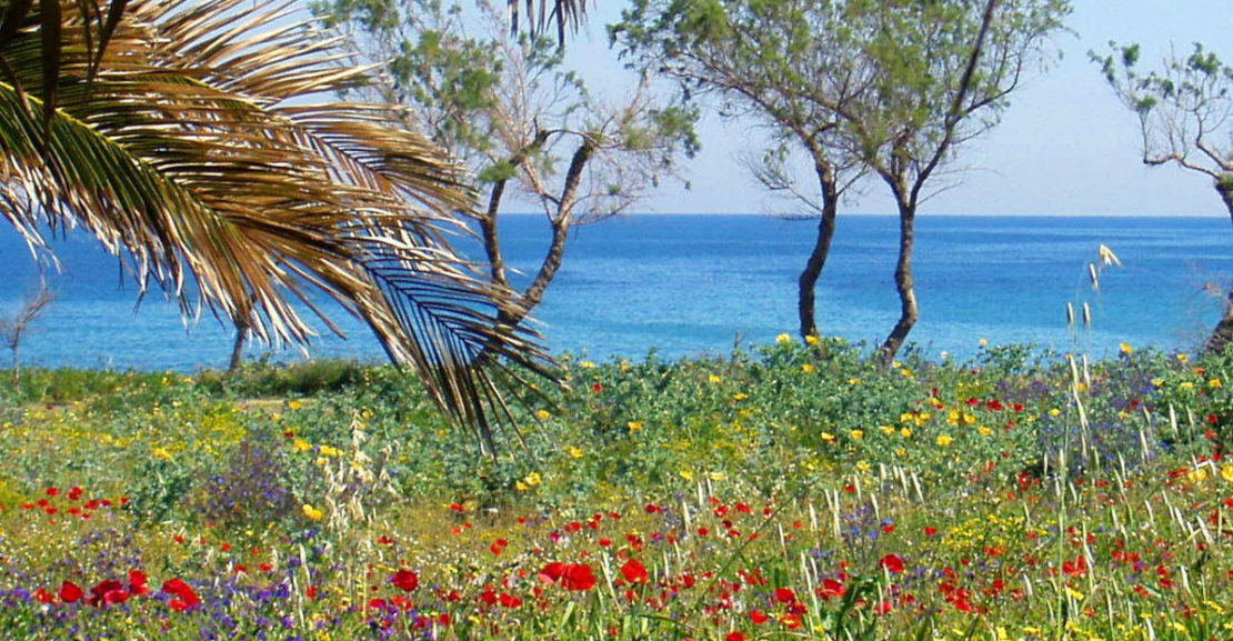 Climate in Crete