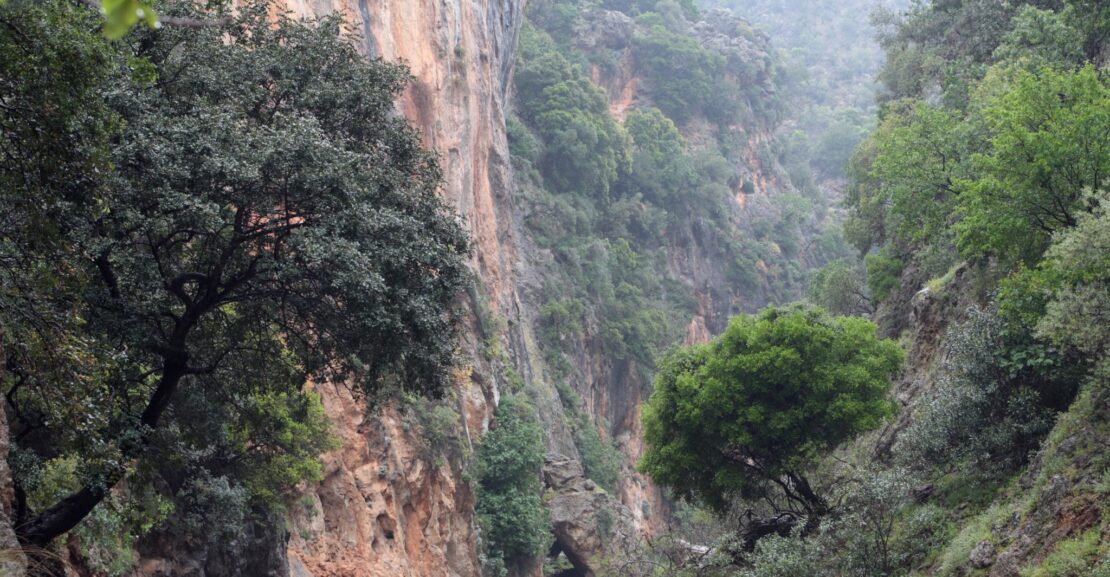 Theriso-Gorge