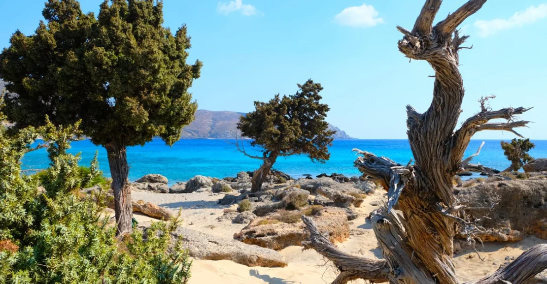 Kedrodasos Beach in Crete with cedar trees and turquoise sea